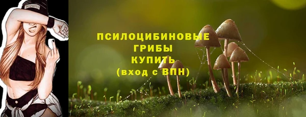 молекула духа Алзамай
