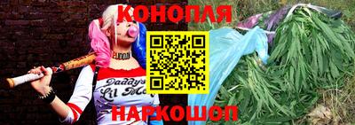 сатива Анапа