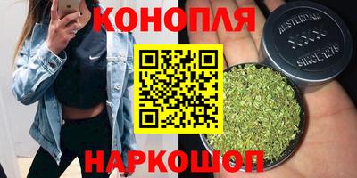 сатива Анапа