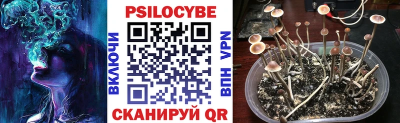 Галлюциногенные грибы Magic Shrooms  Куйбышев 