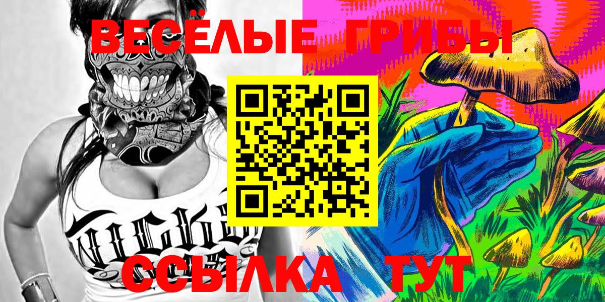 Галлюциногенные грибы Magic Shrooms  Псилоцибиновые грибы мухоморы  Куйбышев  Вход с VPN 