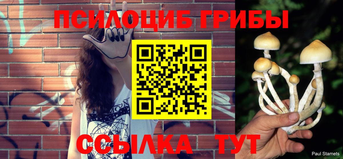 Псилоцибиновые грибы Psilocybe Куйбышев